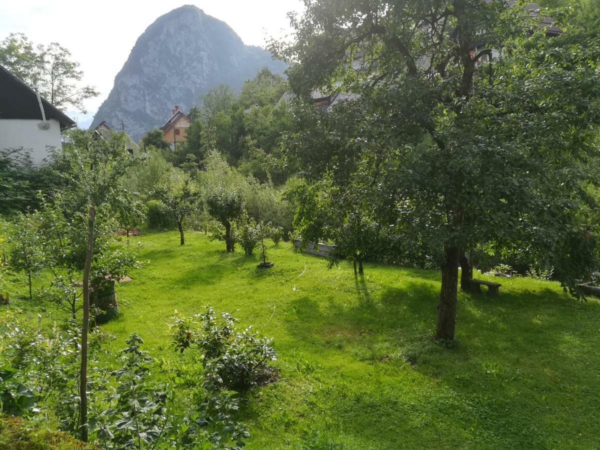 Apartma Pr Pekovcu Bohinj Extérieur photo